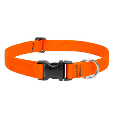 BASICS Adjustable Collar ORANGE 3/4″ FOR MEDIUM DOGS - 13